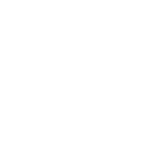 puma 2