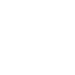 shopee